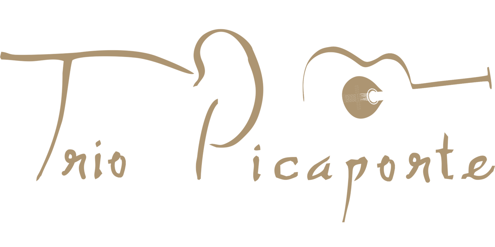triopicaporte.com